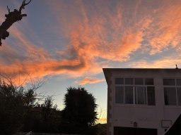 190-08-01-2026 IMG_3390